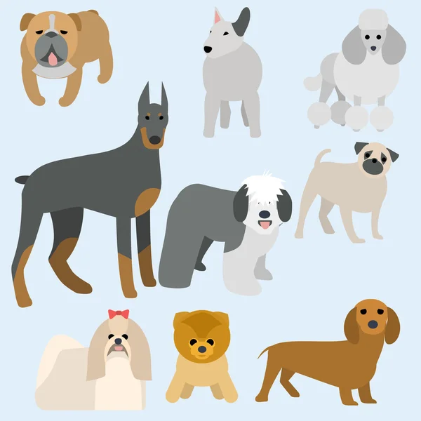 Tipos de perros de diseño plano — Vector de stock