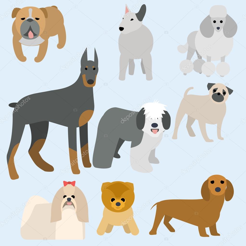 Flat design types of dogs