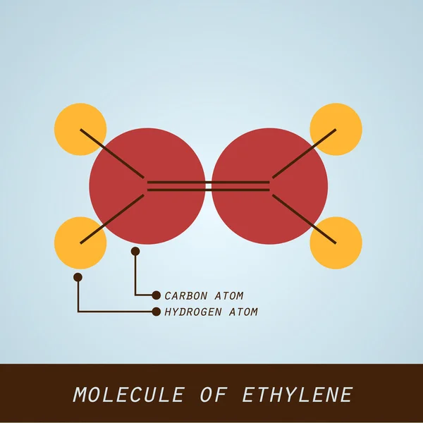 Illustration of molecule of ethylene in modern flat design — Stock Vector