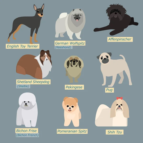 Siluetas simples de perros. Tipos de mini-perros de diseño plano — Archivo Imágenes Vectoriales