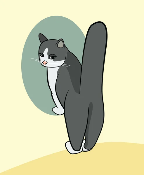 Dibujos animados de un gato de pie en los pies delanteros con cola muy elevada — Vector de stock