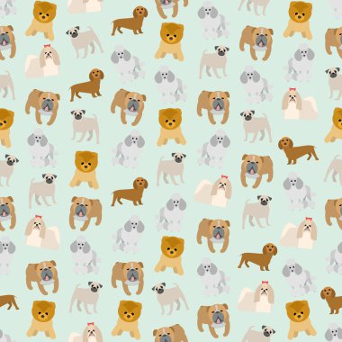 Köpeklerin farklı doğurmak-in kesintisiz renkli arka plan yaptı