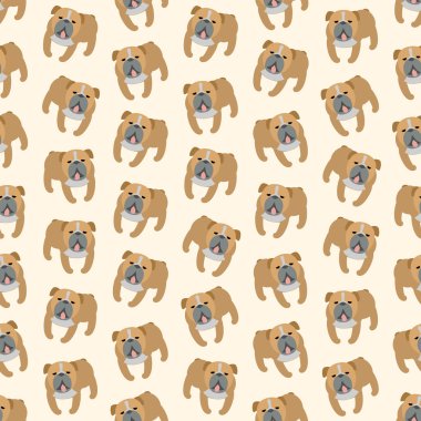 Köpekler doğurmak bulldog kesintisiz renkli arka plan yaptı