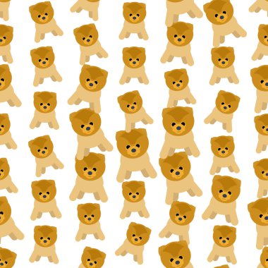 Köpekler doğurmak spitz kesintisiz renkli arka plan yaptı