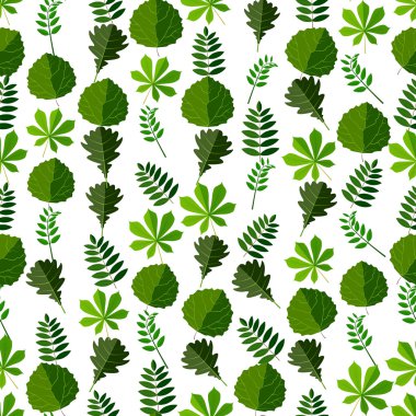 Yaprakların farklı tür kesintisiz renkli arka plan yaptı