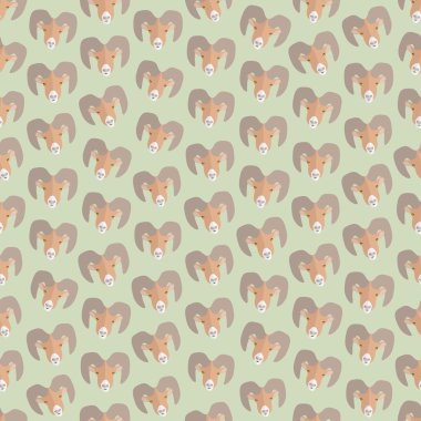 Koyun başkanları kesintisiz renkli arka plan yaptı