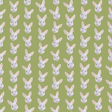 Tavşan başkanları kesintisiz renkli arka plan yaptı