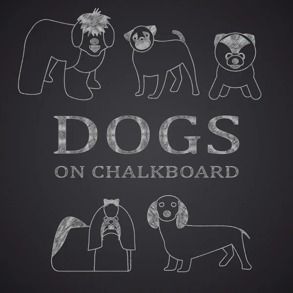 Different dogs drawn on chalkboard. Part 1 — Stock Vector