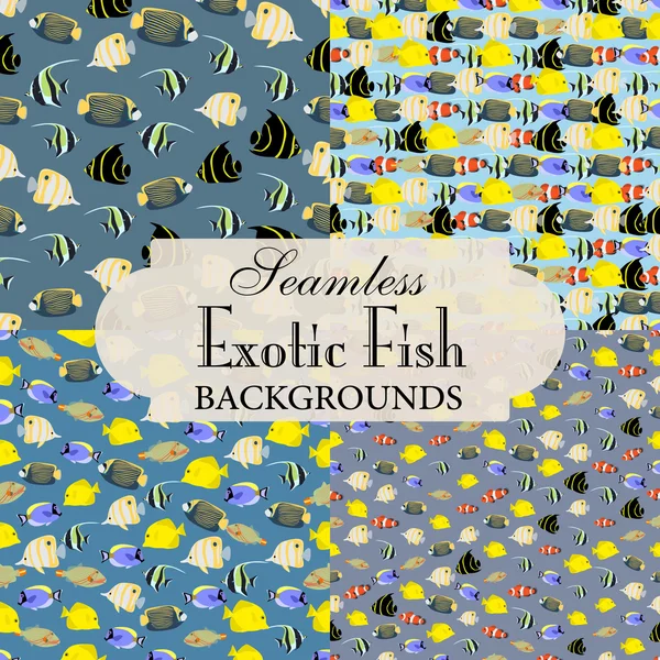 Colección de fondos sin costura sobre el tema de los peces exóticos — Archivo Imágenes Vectoriales