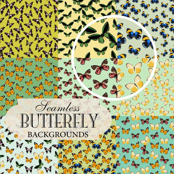 收藏的无缝背景上的蝴蝶主题 — 图库矢量图片