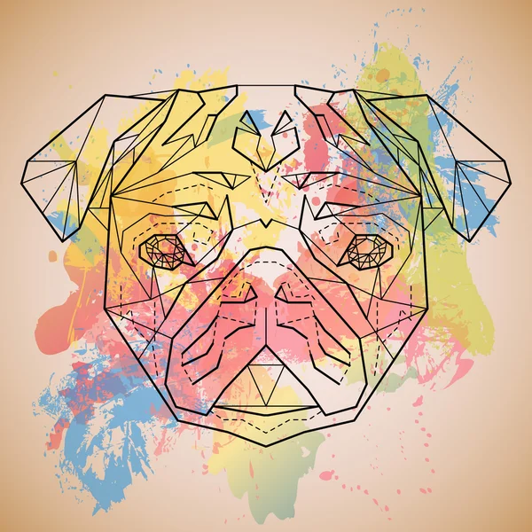 Cabeza colorida de Pug en diseño gráfico lineal en manchas de colores — Archivo Imágenes Vectoriales