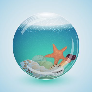 Cam Küre okyanus su ve deniz kabukları