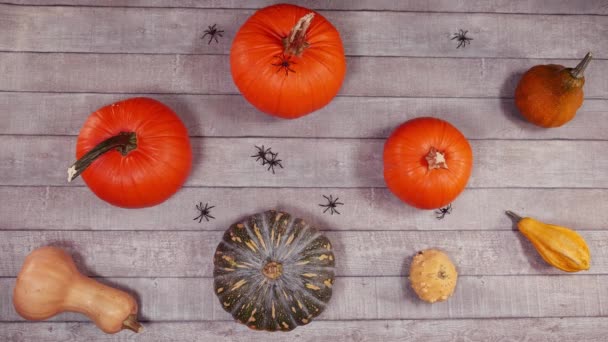 Paisagem Halloween Outono Abóbora Uma Mesa Madeira Vista Superior Mesa — Vídeo de Stock