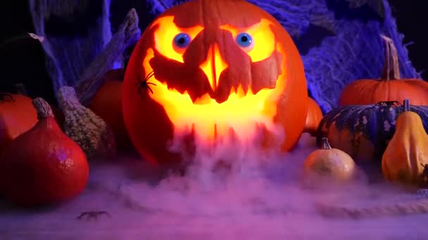 Halloween Pumpkin Jack Lantern Heavy Smoke Halloween Pumpkins Spooky Background — Stock Video