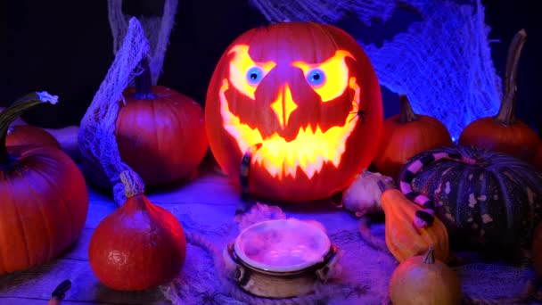 Halloween Tök Jack Lámpás Főzés Bájital Egy Boszorkány Üstben Halloween — Stock videók