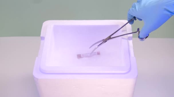 Brote Coronavirus Concepto Análisis Sangre Laboratorio Médico Tubo Ensayo Con — Vídeos de Stock