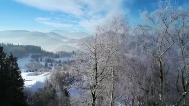 Vinter Vita Bergen Och Berömda Vinter Skidort Antenn Utsikt Solig — Stockvideo