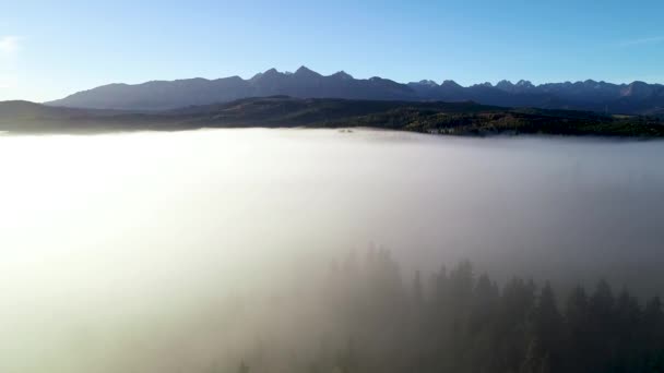 Letecký Pohled Podzimní Hory Slunečné Mlhavé Ráno Epická Alpská Krajina — Stock video