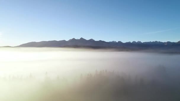 Mountain Aerial Hyperlapse Epic View Aerial View Mountain Landscape Morning — Stock Video