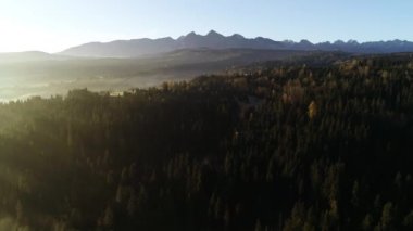 Sonbahar dağlarının havadan görünüşü. Güneşli, sisli bir sabah, destansı alp manzarası, sisle kaplı bir orman. Polonya, Avrupa 'daki Tatra dağlarının yüksek panoramik manzarası. Idyllic şafak sahnesi.