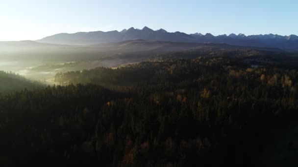 Vista Aérea Las Montañas Otoño Mañana Brumosa Soleada Paisaje Alpino — Vídeos de Stock