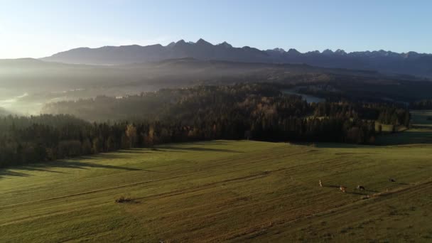 Gebirgslandschaft Mit Morgennebel Luftaufnahme Tatra Hochgebirge Sonnigen Morgen Nach Sonnenaufgang — Stockvideo