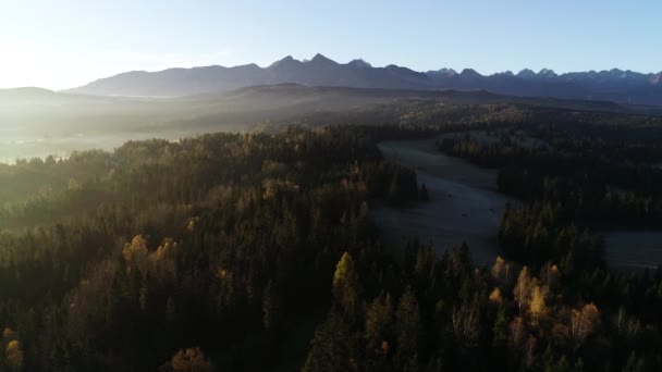 山水与晨雾 日出后阳光灿烂的早晨 塔特拉山高耸 黎明后的高山风景 雾蒙蒙的森林鸟瞰与群山全景 — 图库视频影像
