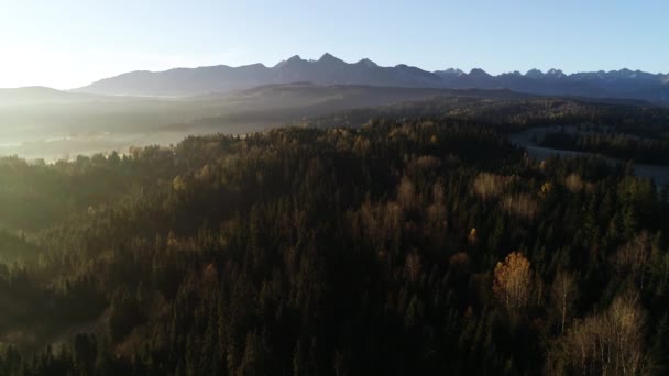 Αεροφωτογραφία Των Φθινοπωρινών Βουνών Ηλιόλουστο Πρωινό Επικό Αλπικό Τοπίο Δάσος — Αρχείο Βίντεο