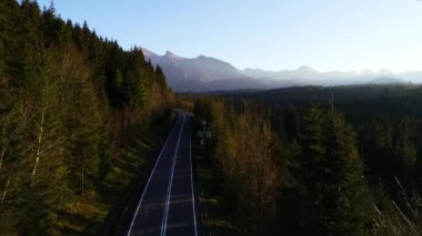 Dağlık yolun ve kayalık nehrin havadan görünüşü. Dağlarda güzel, ılık bir sonbahar ve renkli ormanda güneşli, temiz bir yol. Vahşi dağ manzarasında otobanın destansı drone görüntüleri.