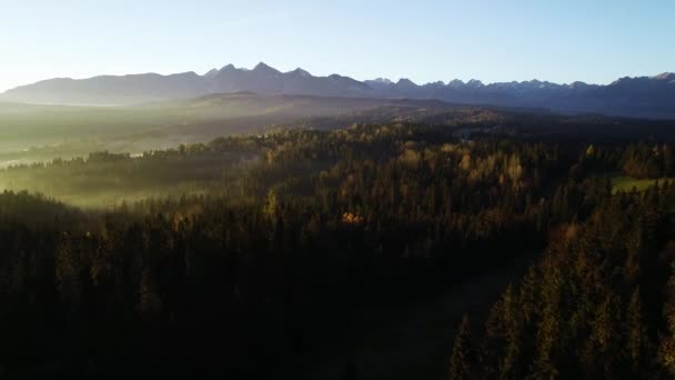 Bergluft Epischer Blick Luftaufnahme Der Berglandschaft Mit Morgennebel Tatra Hochgebirge — Stockvideo