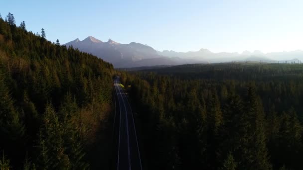 从空中俯瞰高山曲折的道路 美丽温暖的秋天 在群山中 阳光清澈的道路穿过五彩斑斓的森林 野外山景中公路的史诗般的无人驾驶镜头 — 图库视频影像