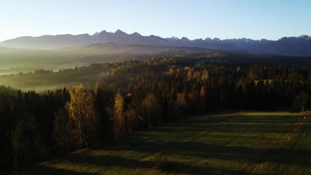 日の出後の晴れた朝に朝の霧 タトラの高い山と山の風景の空中ビュー 秋の霧の森と幻想的な高山風景のドローン映像 — ストック動画