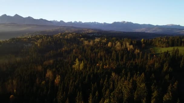 Vista Aérea Del Paisaje Montañoso Con Niebla Matutina Montañas Altas — Vídeo de stock