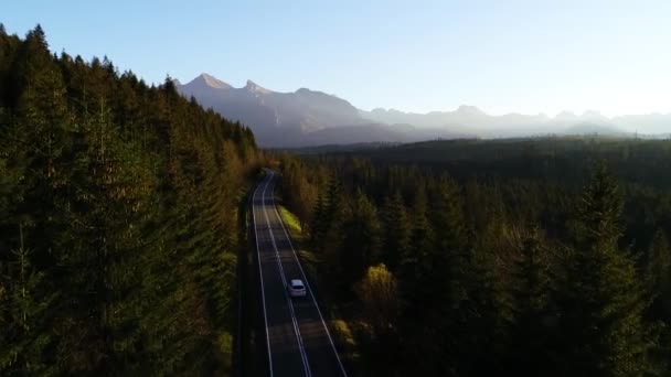 从空中俯瞰高山蜿蜒的道路和豪华越野车驶向高山 美丽的秋天 在群山中 阳光清澈的道路穿过五彩斑斓的森林 — 图库视频影像