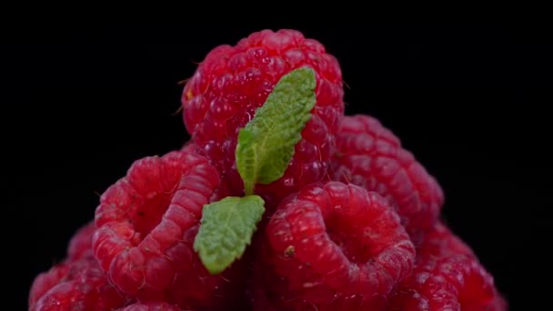 Raspberries Обертається Чорному Фоні Зблизька Свіжі Міцні Смачні Малини Листям — стокове відео
