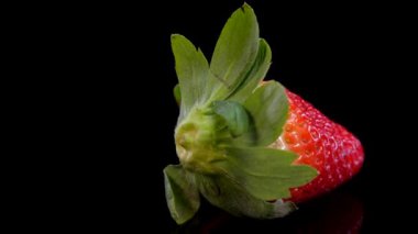 Çilek siyah arka planda dönüyor. Yakın plan, manzara. 4K 'de taze, organik kırmızı çilek. Çiğ vejetaryen yaz atıştırması.
