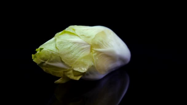 Chicory นบนพ นหล าใน ใกล ยงก บภาพสดของเบลเย ภาพสต — วีดีโอสต็อก