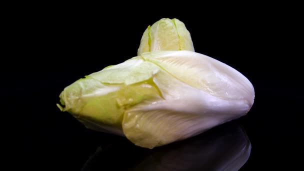 Salada Chicória Girando Sobre Fundo Preto Close Fresco Belga Endive — Vídeo de Stock