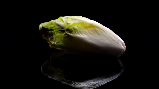 Salada Chicória Girando Sobre Fundo Preto Close Fresco Belga Endive — Vídeo de Stock