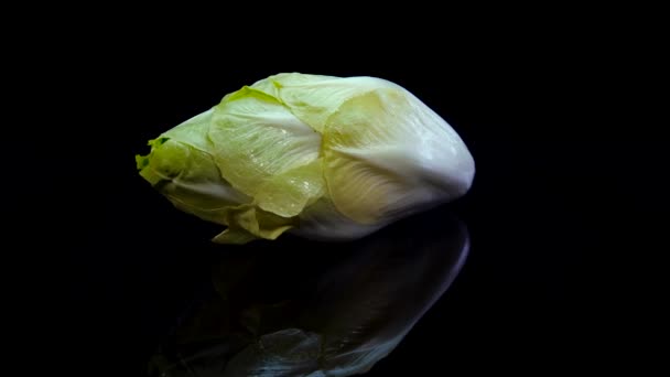 Salada Chicória Girando Sobre Fundo Preto Close Fresco Belga Endive — Vídeo de Stock