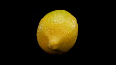 Siyah arka planda dönen sarı limon. Taze, mükemmel, organik canlı sarı limon 4K.