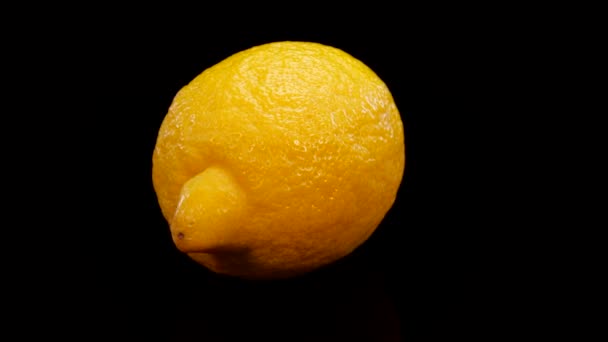 Żółta Cytryna Obracająca Się Czarnym Tle Świeża Idealna Organiczna Żywa — Wideo stockowe