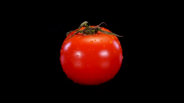 Czerwony Idealny Pomidor Obracający Się Czarnym Tle Świeże Twarde Pomidory — Wideo stockowe