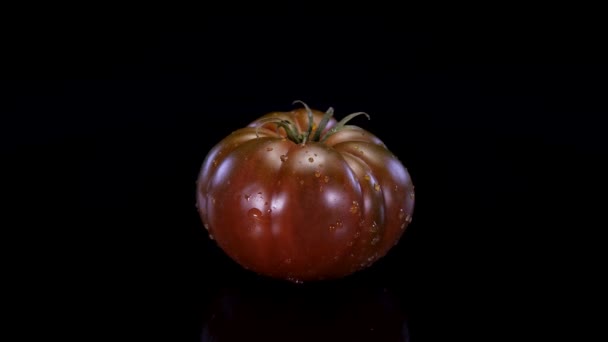 Idealny Pomidor Obracający Się Czarnym Tle Świeże Jędrne Pomidory Czekoladowe — Wideo stockowe