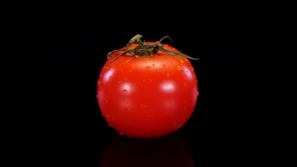 Tomate Parfaite Rouge Tournant Sur Fond Noir Tomate Fraîche Ferme — Video