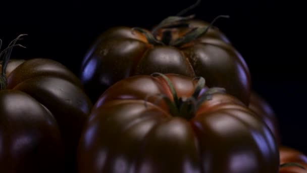 Perfecte Tomaten Draaiend Een Zwarte Achtergrond Van Dichtbij Bekeken Frisse — Stockvideo