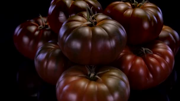 Perfekt Tomater Roterar Svart Bakgrund Närbild Söt Chokladtomat Färsk Och — Stockvideo