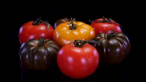 Différents Types Tomates Tournant Sur Fond Noir Tomate Fraîche Ferme — Video