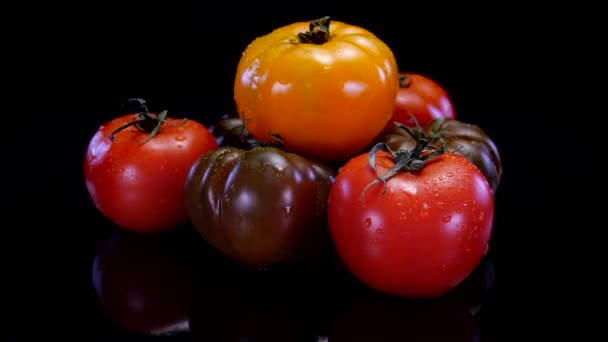Olika Typer Tomater Roterar Svart Bakgrund Färsk Och Fast Tomat — Stockvideo