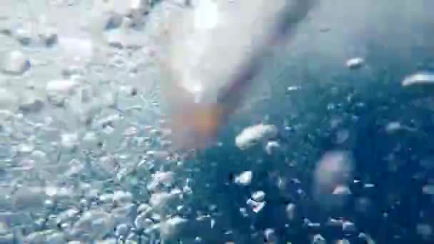 溺れる人だ その男は水中で溺れている 溺れた人の水中映像 溺死者のシミュレーション — ストック動画